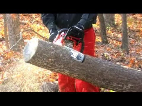 Chainsaw Basics: How to Safely Use a Chainsaw