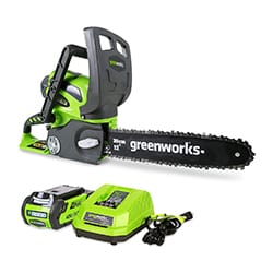 Greenworks 12-Inch