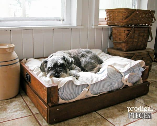 Pet Bed DIY