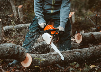 Best Budget Chainsaws Under $200