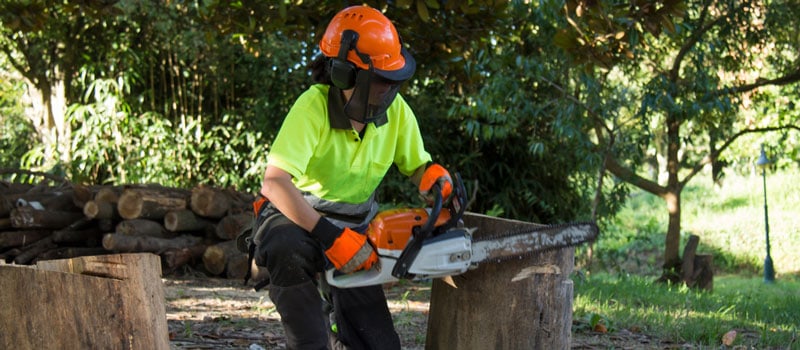 Chainsaws for Women