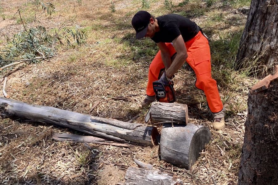 Man using a chainsaw to cut a tree log