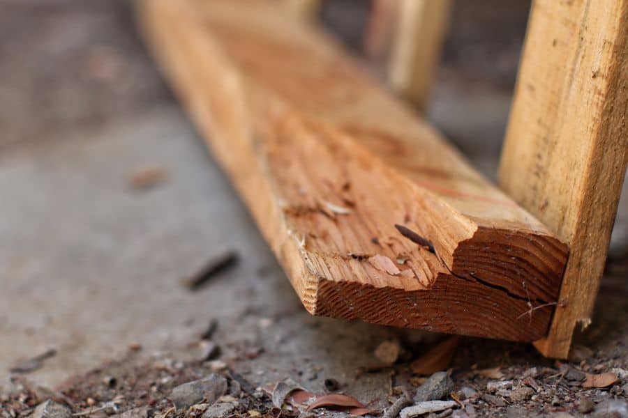 Untreated wood
