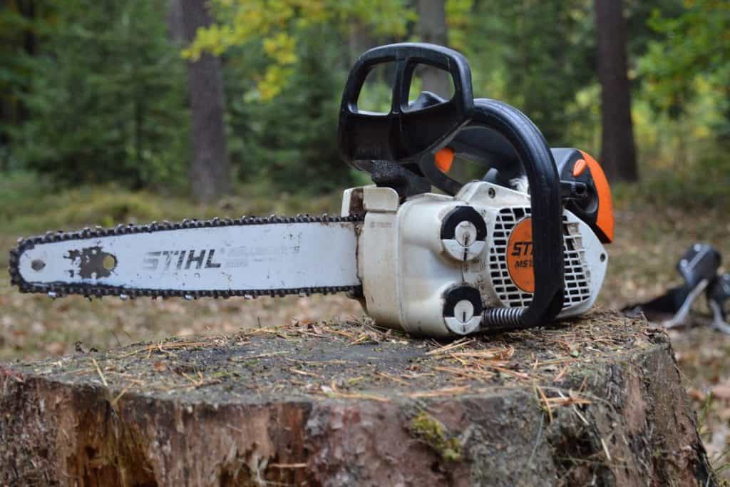 Stihl chainsaw resting on a tree trunk