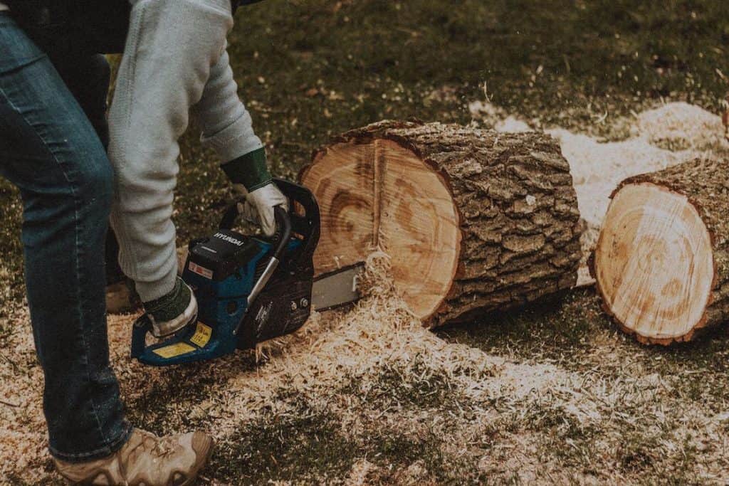 Person using a chainsaw is cutting a tree trunk that is placed on the ground