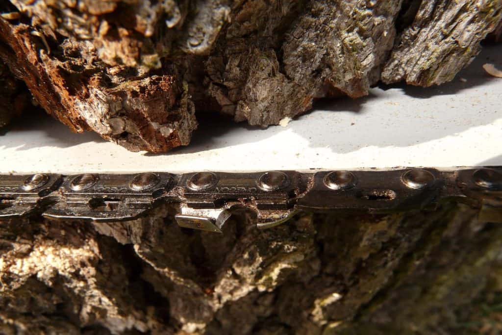 Close up of a chainsaw cutting into a tree log