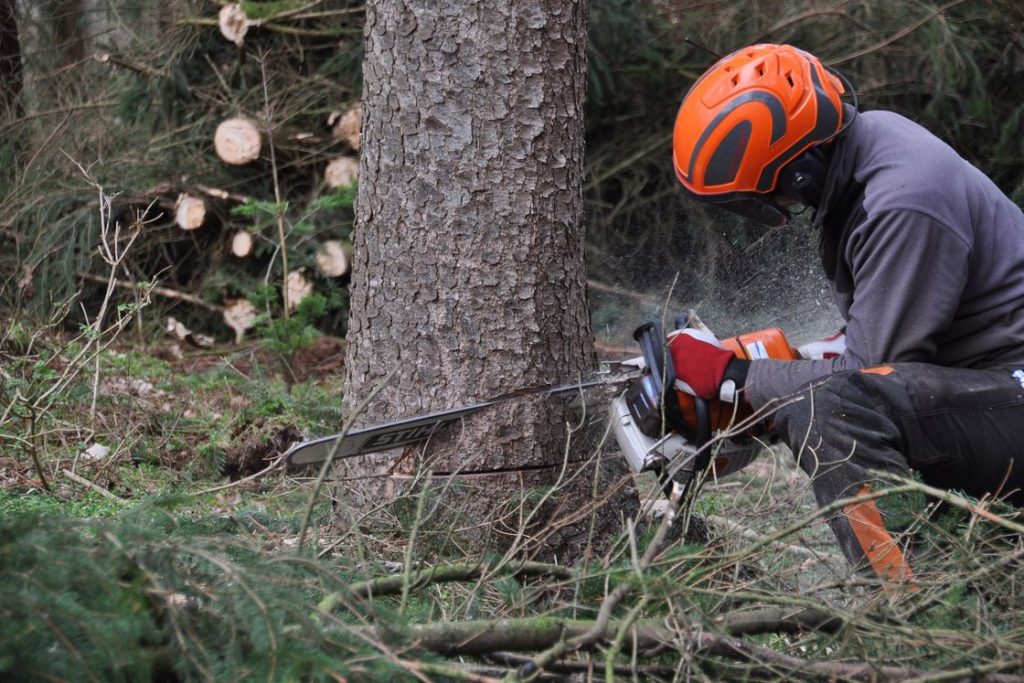 Man wearing protective gear while cutting down a tree with a chainsaw