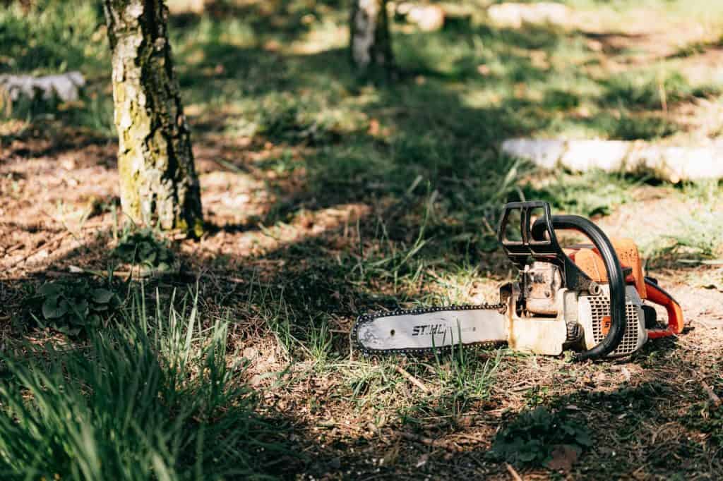 An orange and gray Stihl chainsaw was placed on top of green grass near the tall tree
