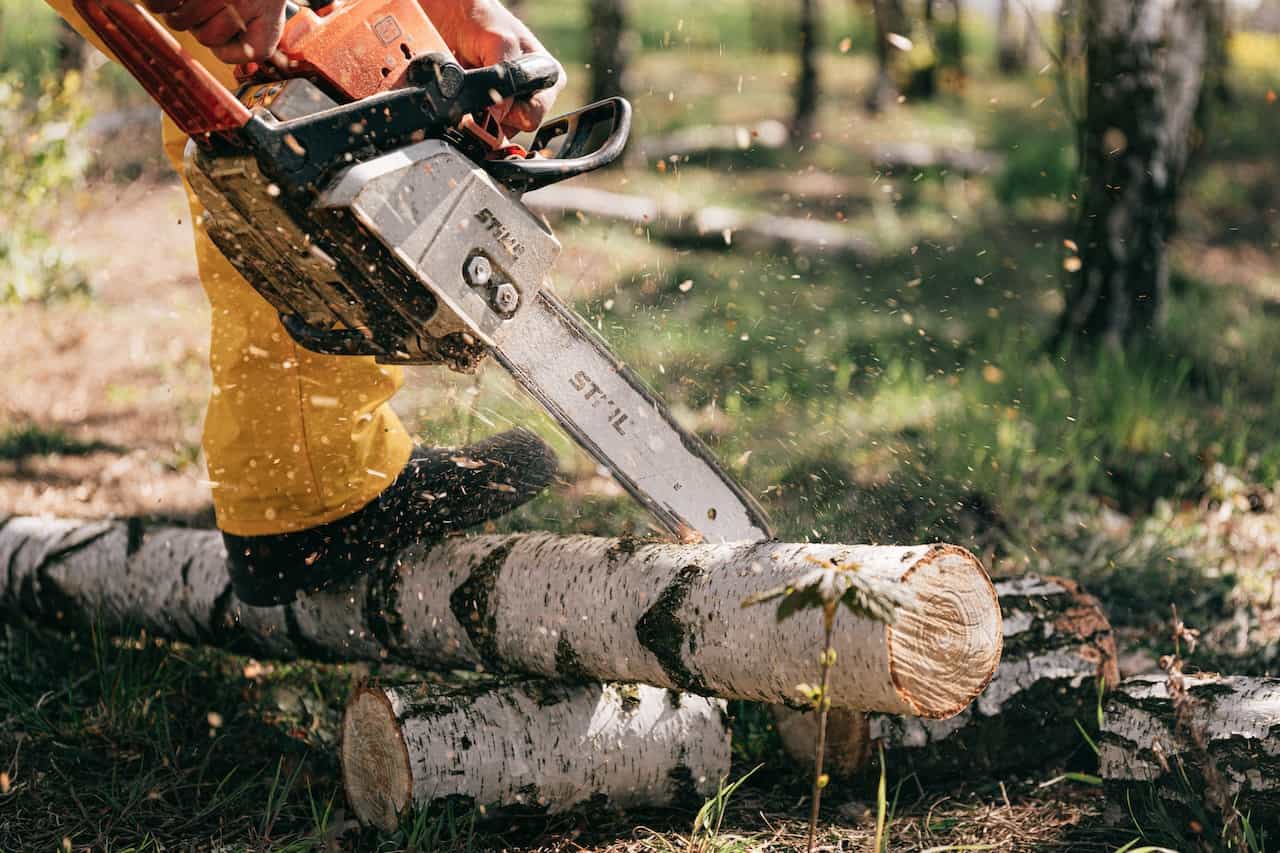 How to Keep a Stihl Chainsaw From Leaking Bar Oil Brandi Sawyer